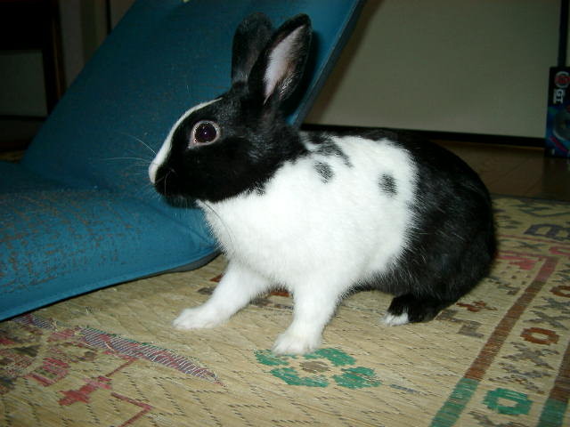 img0023.jpg